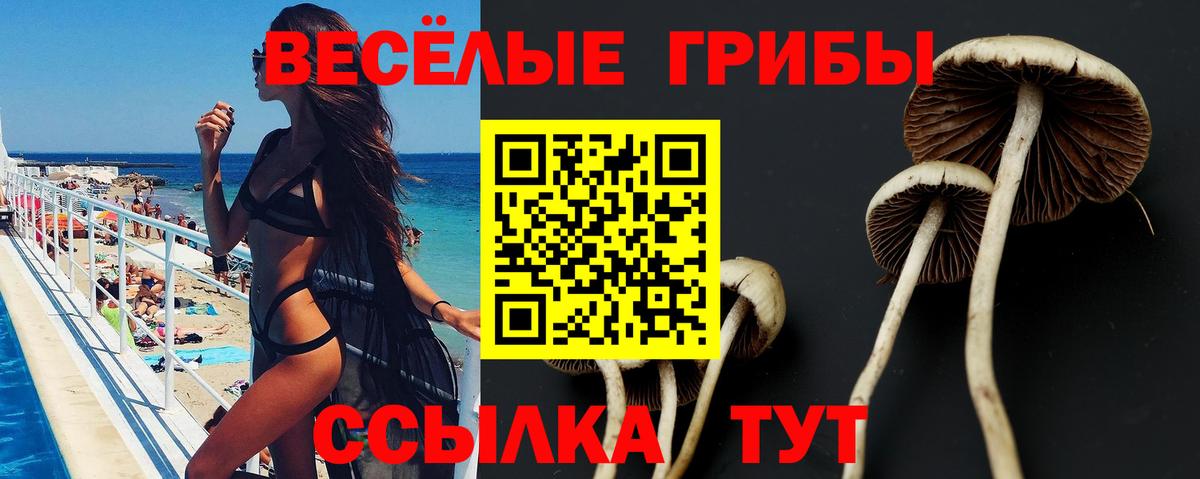 Галлюциногенные грибы прущие грибы Корсаков