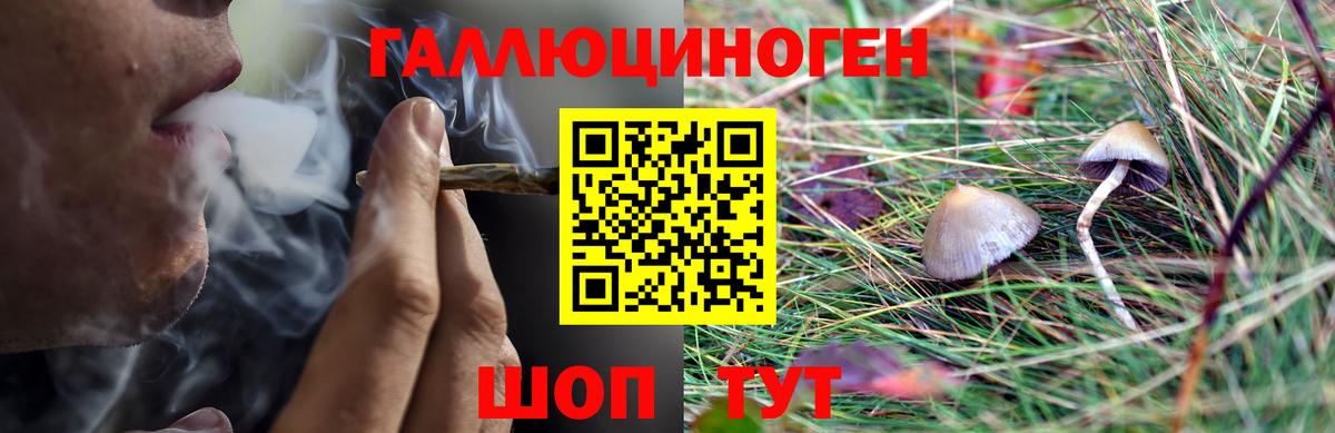 Корсаков  Псилоцибиновые грибы MAGIC MUSHROOMS  Вход с VPN  Галлюциногенные грибы Magic Shrooms 